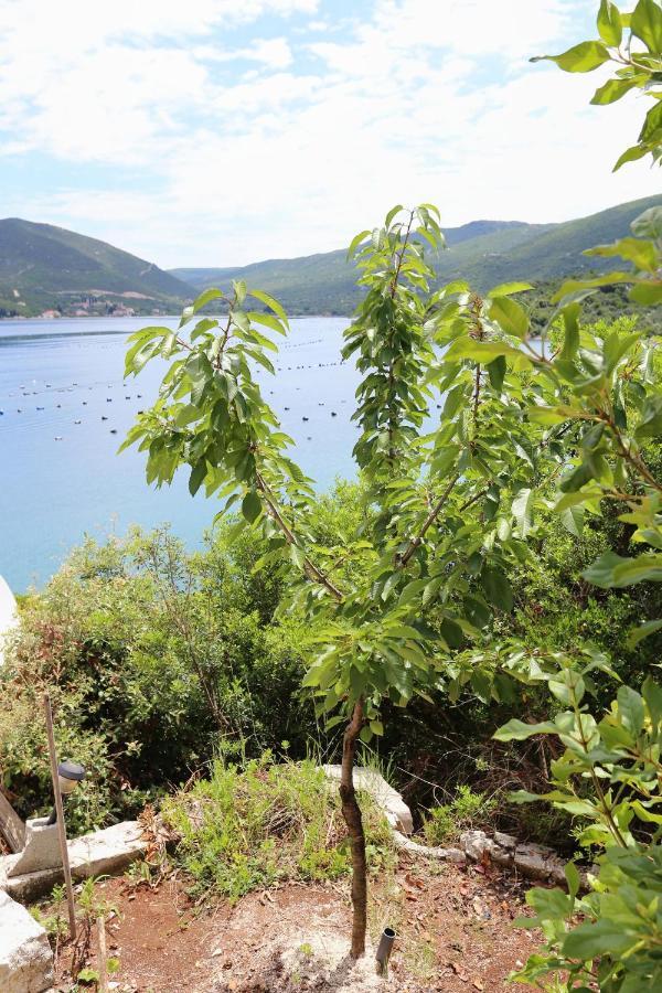 Apartments By The Sea Kabli, Peljesac - 10221 Brijesta Luaran gambar